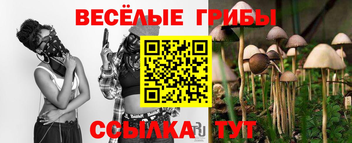 Галлюциногенные грибы Psilocybine cubensis  Галлюциногенные грибы Magic Shrooms  Вход с VPN  Сургут 