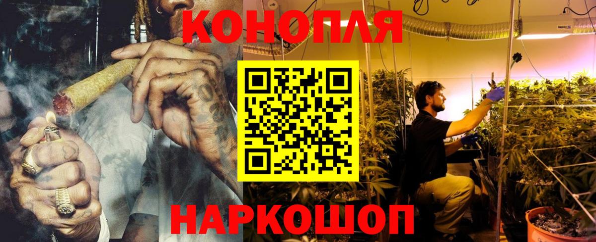 Конопля Amnesia Сургут